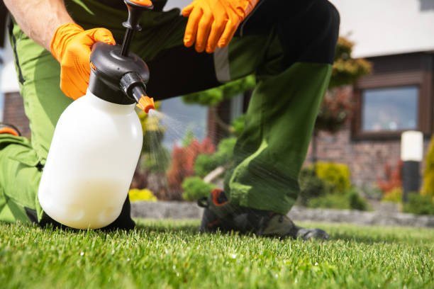 Best Commercial Pest Control Services  in Moravian Falls, NC