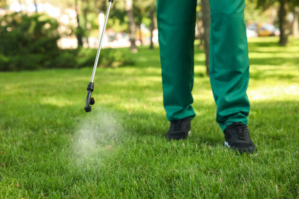 Best Best Pest Control Companies  in Moravian Falls, NC