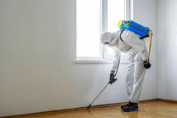 Best Best Pest Control Companies  in Moravian Falls, NC