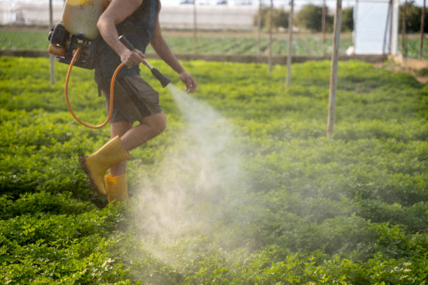 Best Pest Control Treatment  in Moravian Falls, NC