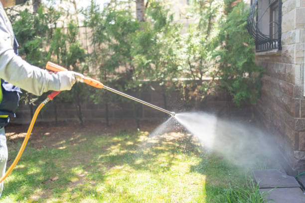 Best Local Pest Control Services  in Moravian Falls, NC