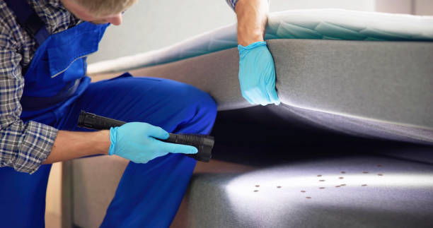Best Emergency Pest Control  in Moravian Falls, NC