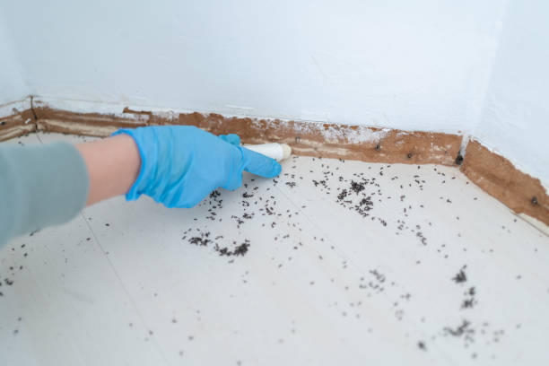 Wildlife Control Services in Moravian Falls, NC