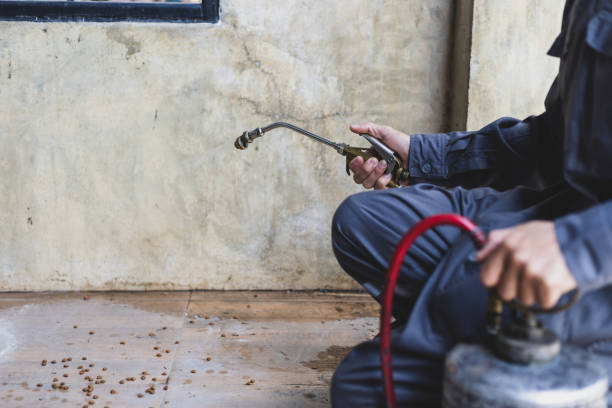 Best Termite Control Services  in Moravian Falls, NC